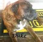 Duke. 2006-2015